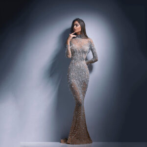Women's Bronzing Long Sleeve Slim Fit Sexy Evening Dress